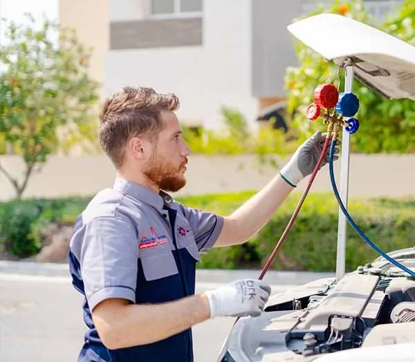 Ac Delco Battery Dealer In Qatar